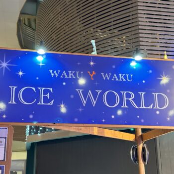 トレッサ横浜 わくわくアイスワールド